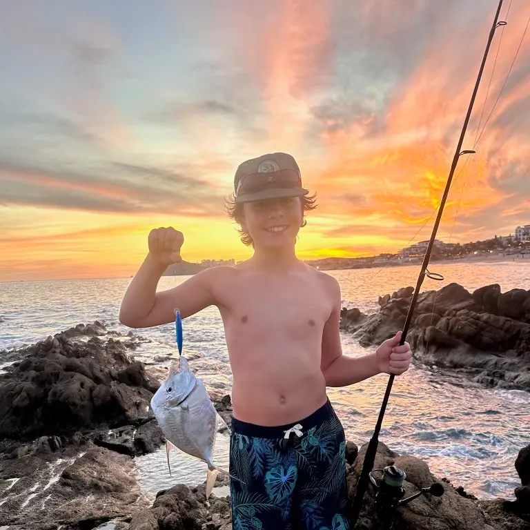 The most recent Hairfin lookdown catches on Fishbrain