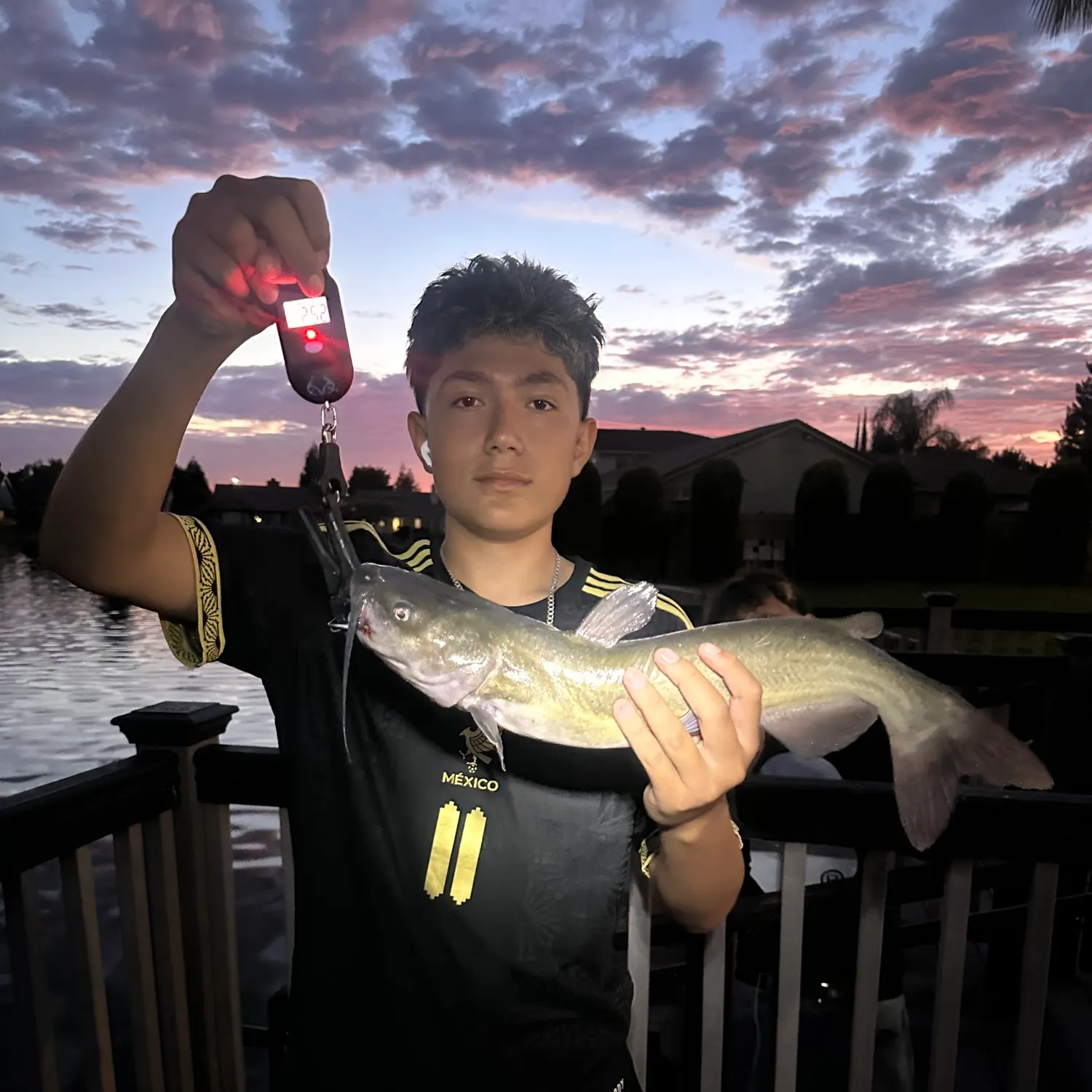 recently logged catches