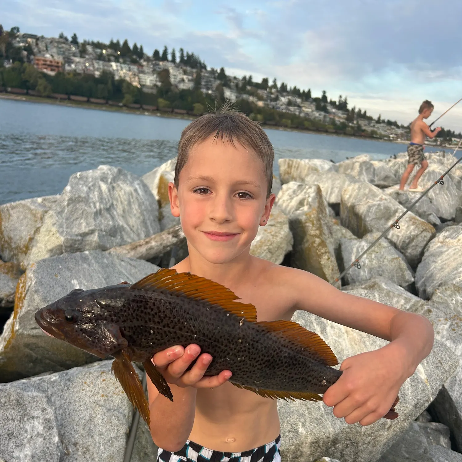 Kelp greenling caught on Fishbrain
