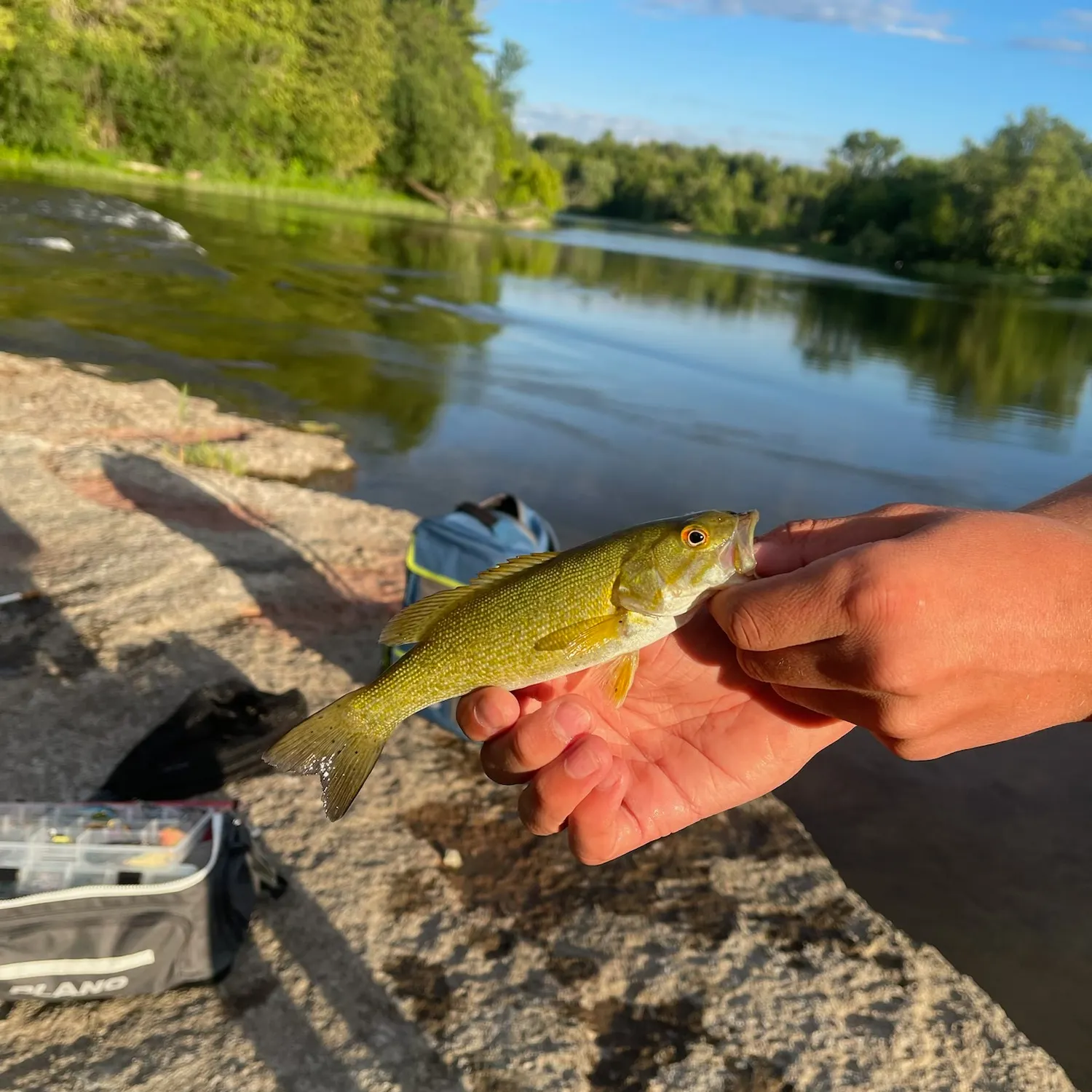 catch