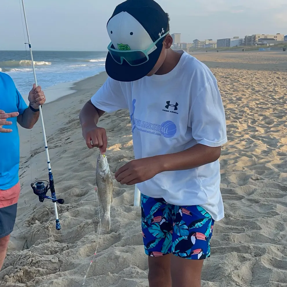 The most recent Southern kingcroaker catches on Fishbrain