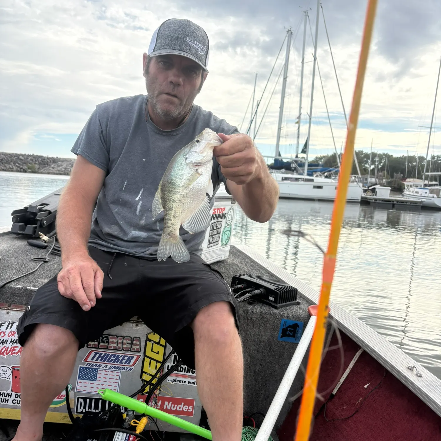 White crappie caught on Fishbrain