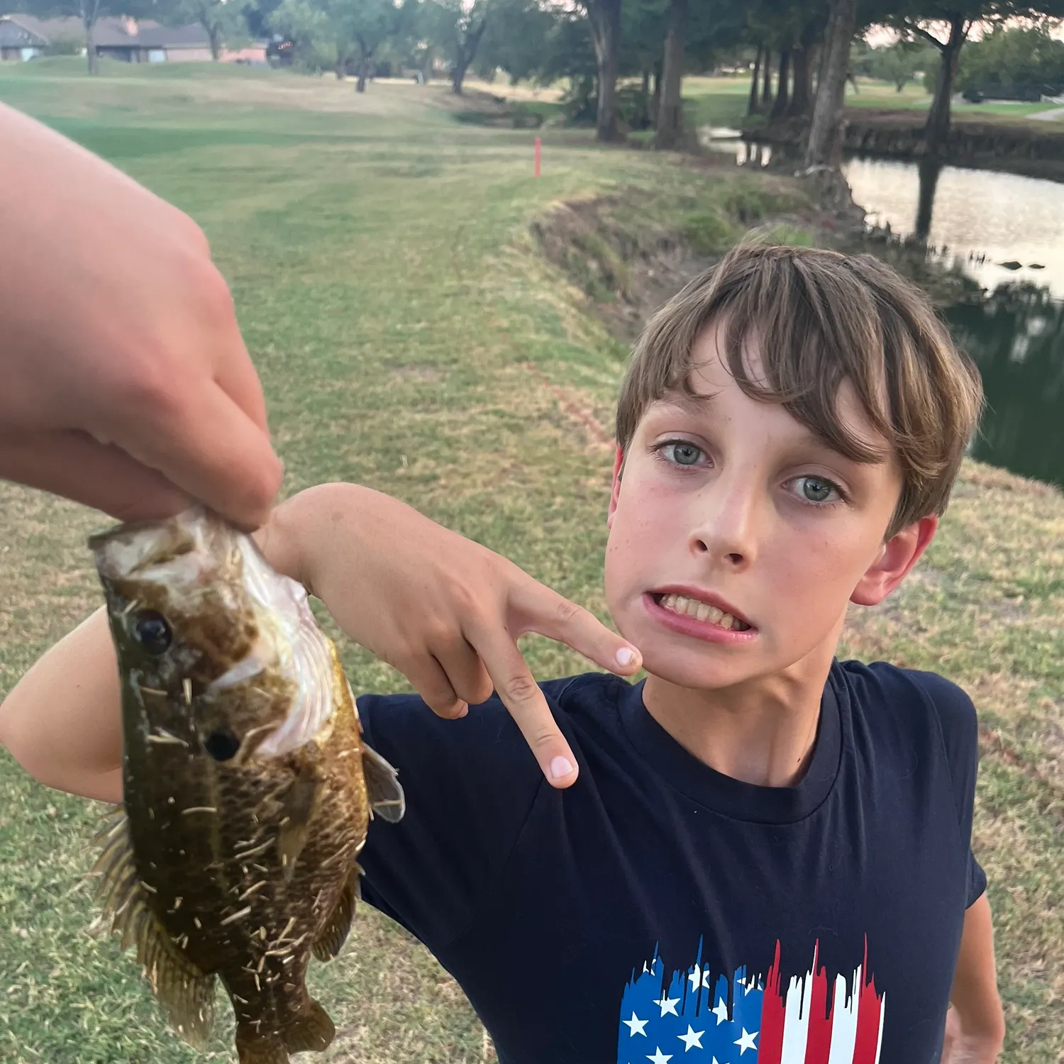 Green sunfish caught on Fishbrain