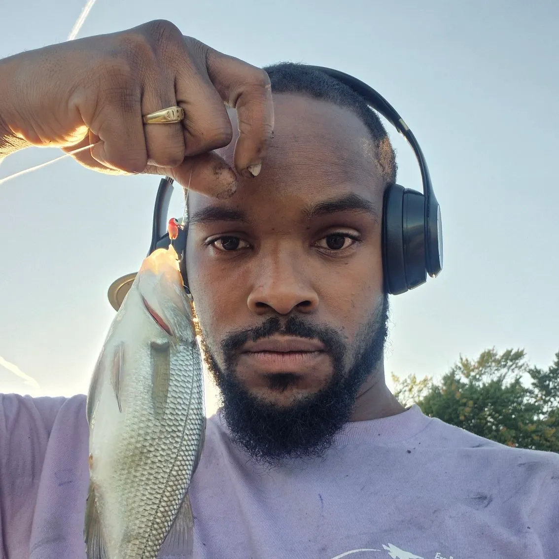 European seabass caught on Fishbrain