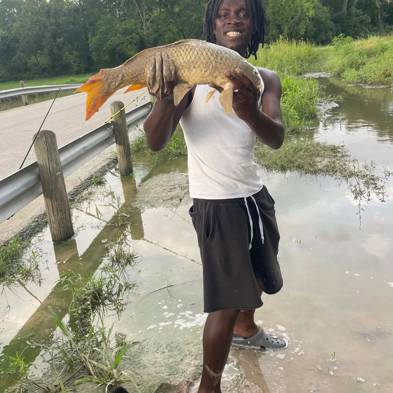 most liked catch image