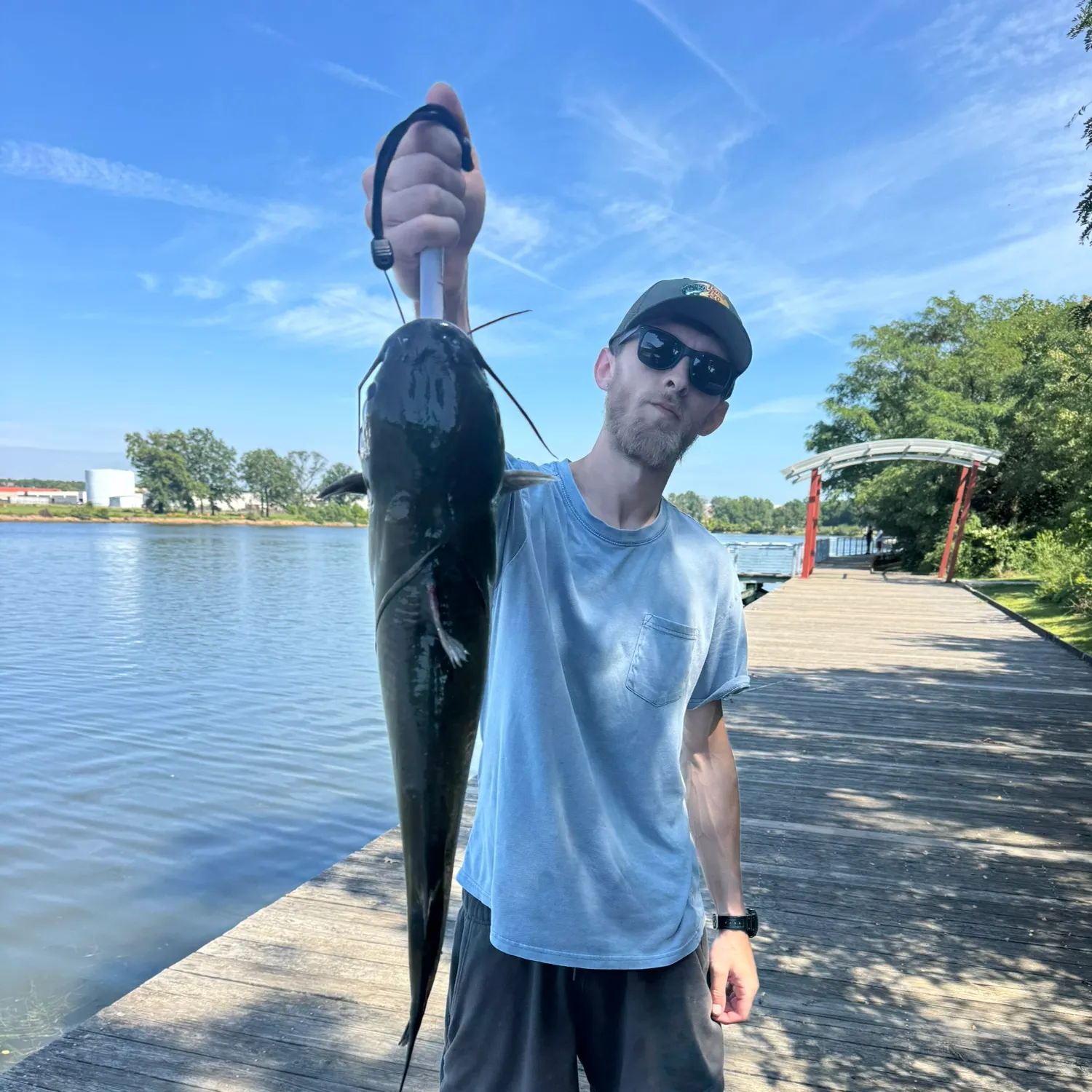 Channel catfish caught on Fishbrain