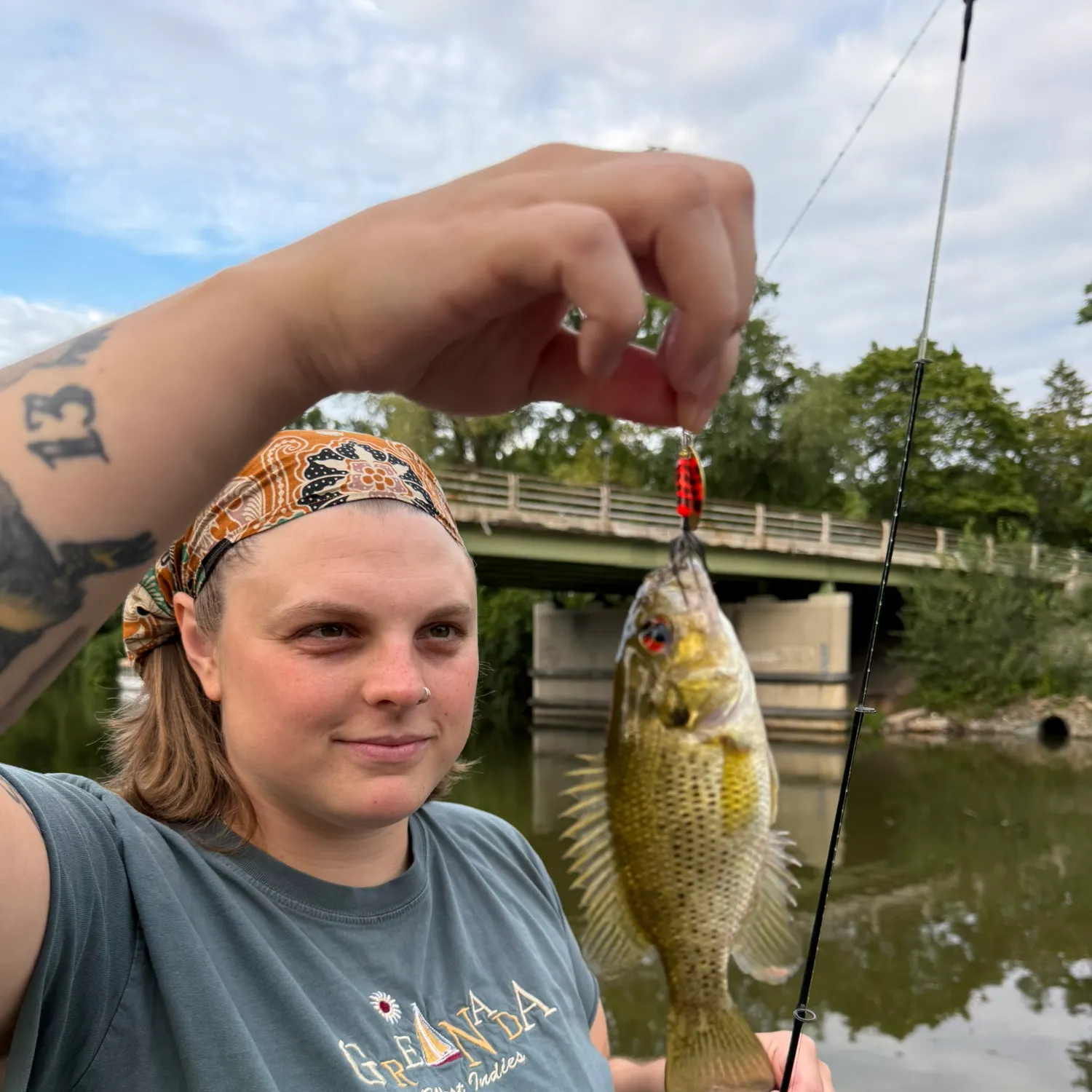 Rock bass caught on Fishbrain