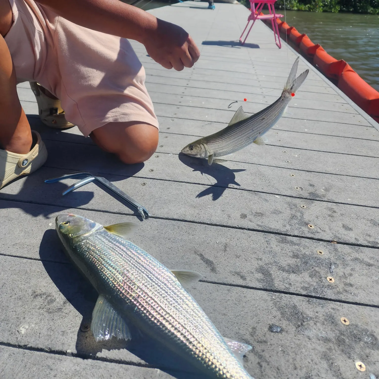 catch