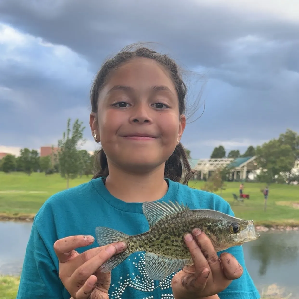 Black crappie caught on Fishbrain