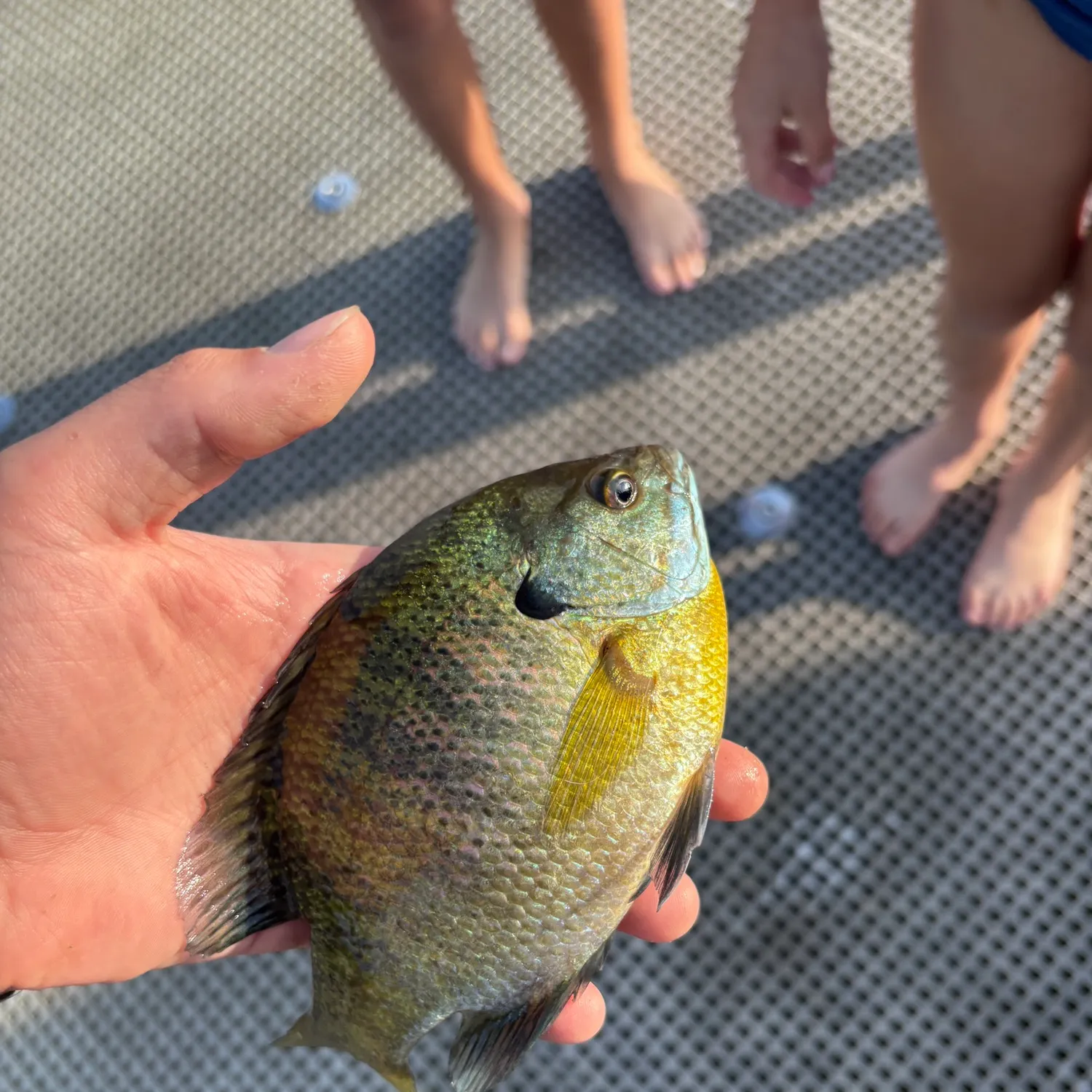 catch