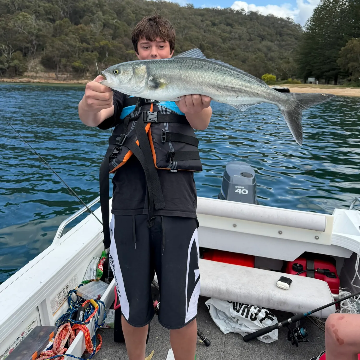 Bluefish caught on Fishbrain