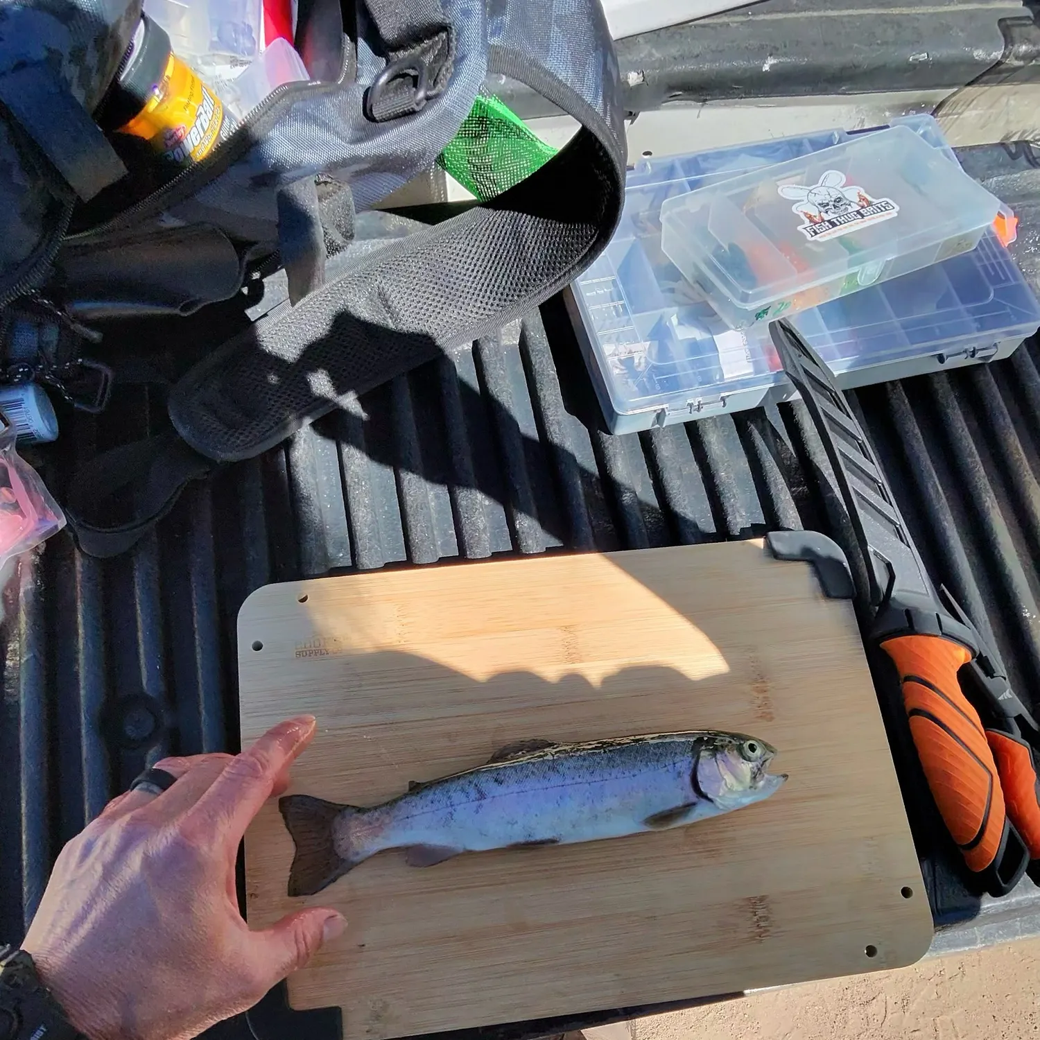 Cutbow caught on Fishbrain