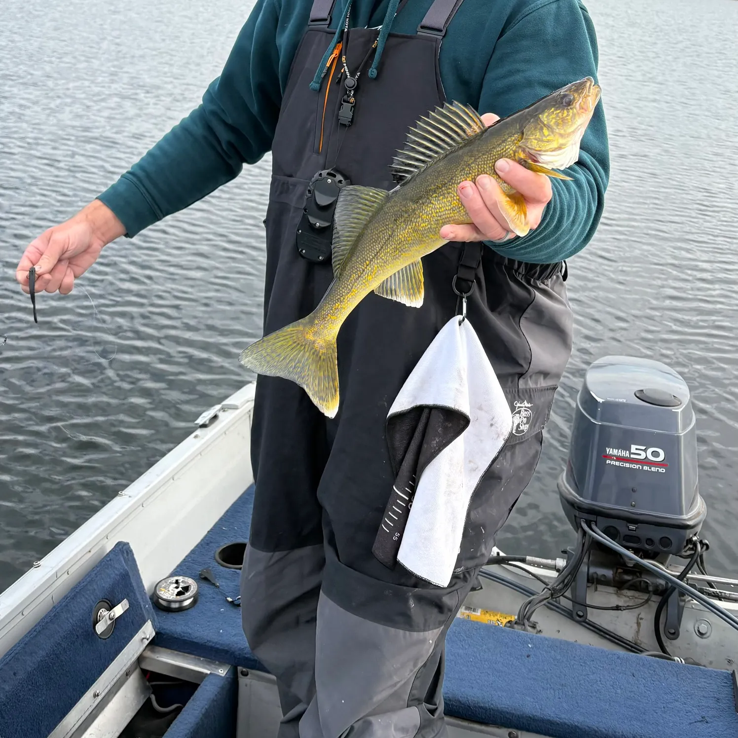 Walleye caught on Fishbrain