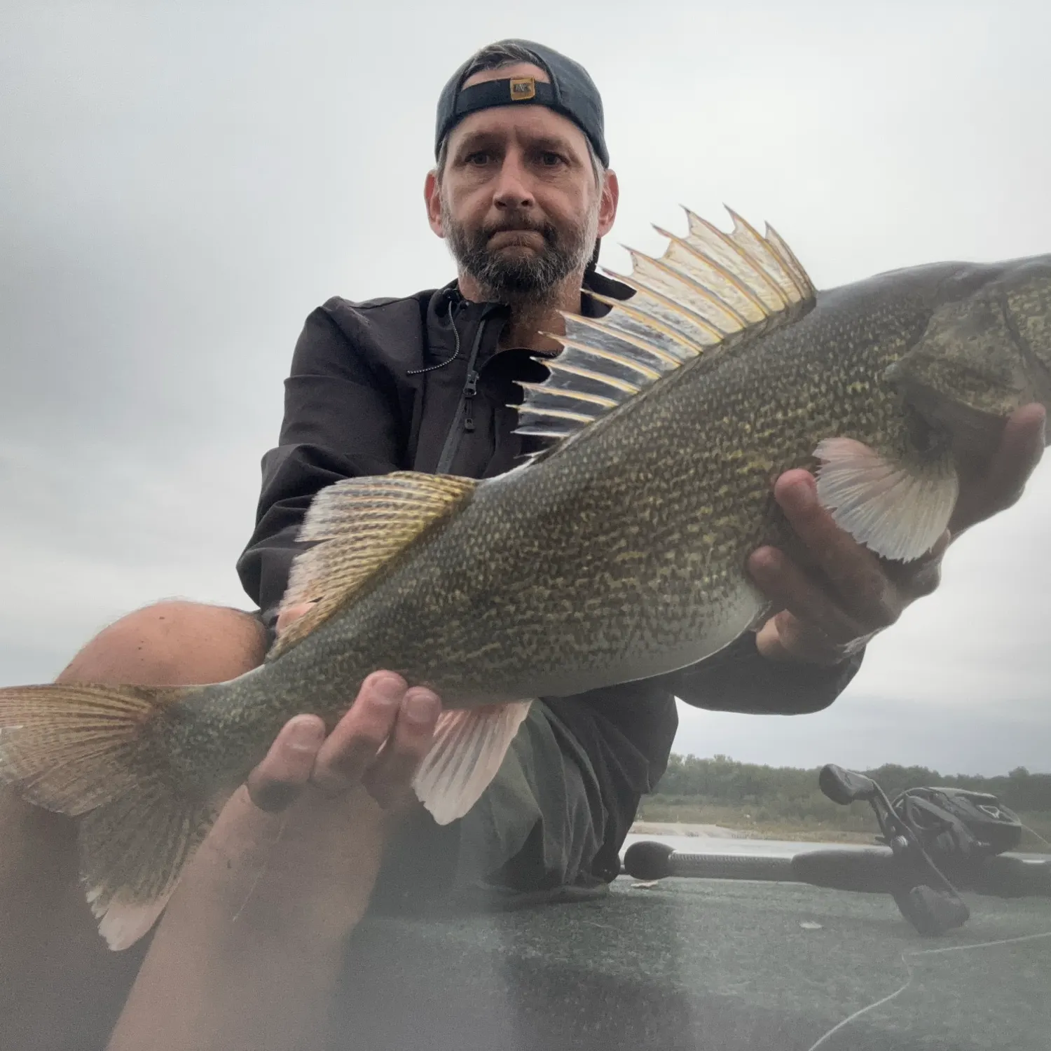 Walleye caught on Fishbrain