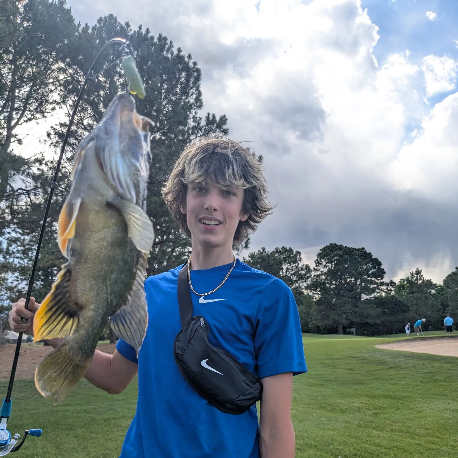 The most recent Atlantic goliath grouper catches on Fishbrain