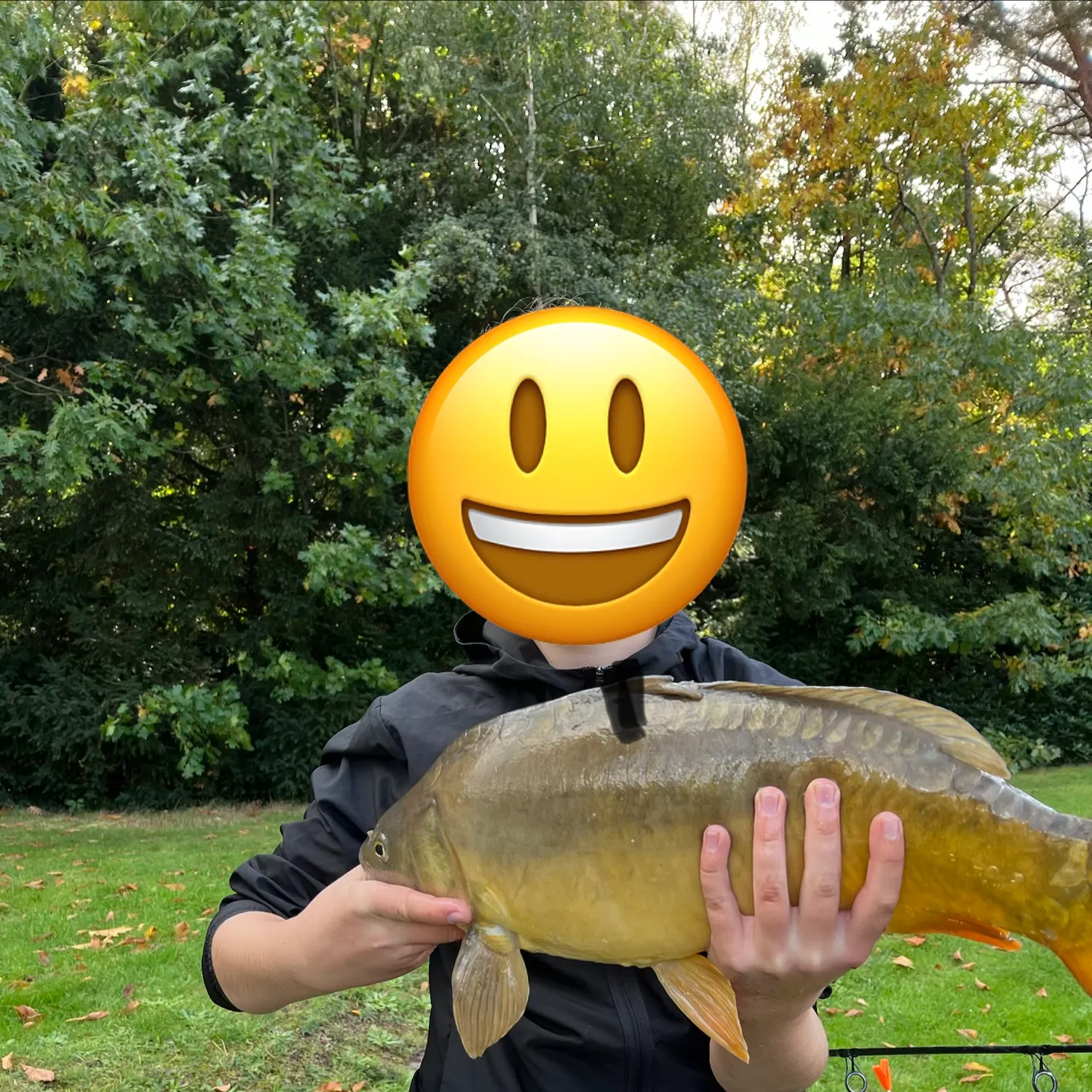 Leather carp caught on Fishbrain