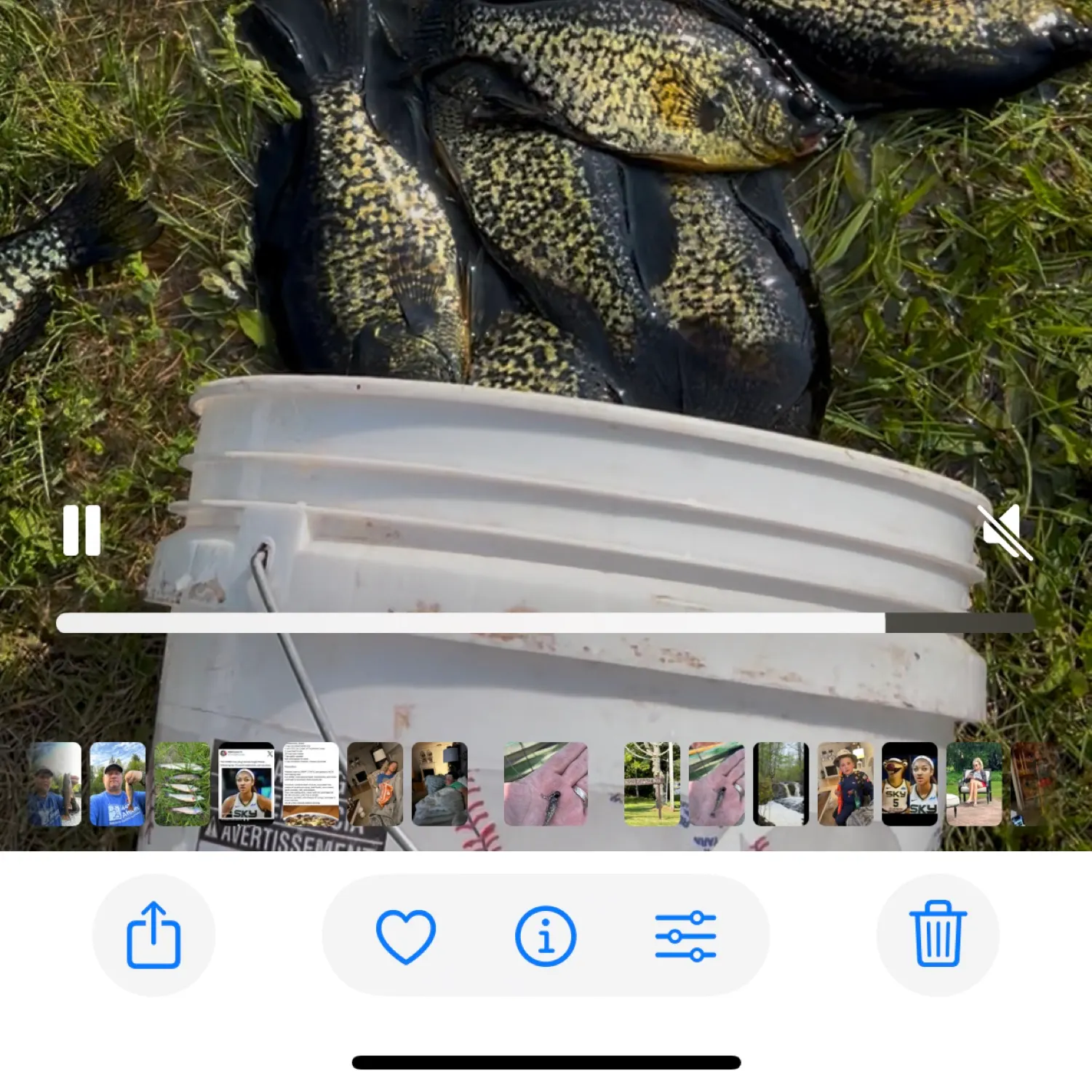 recently logged catches