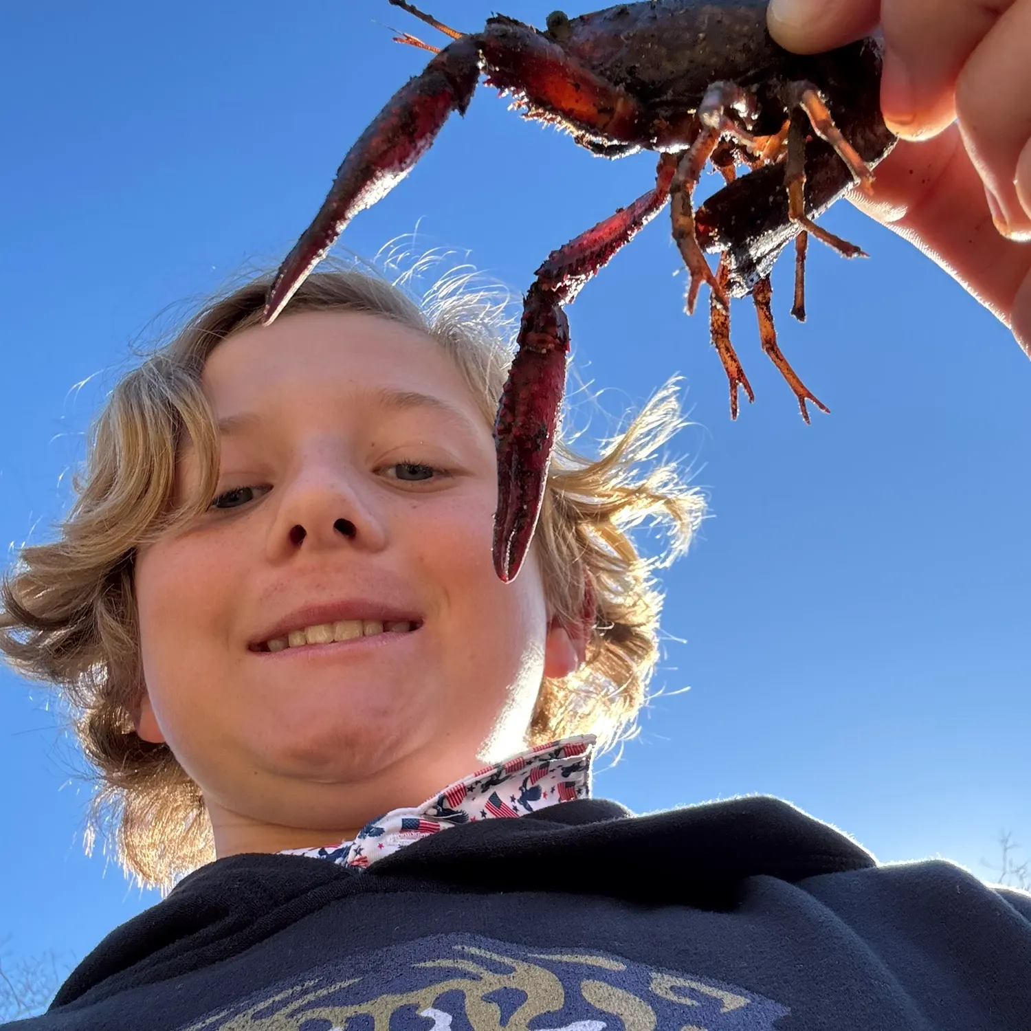 The most recent Red swamp crayfish catches on Fishbrain