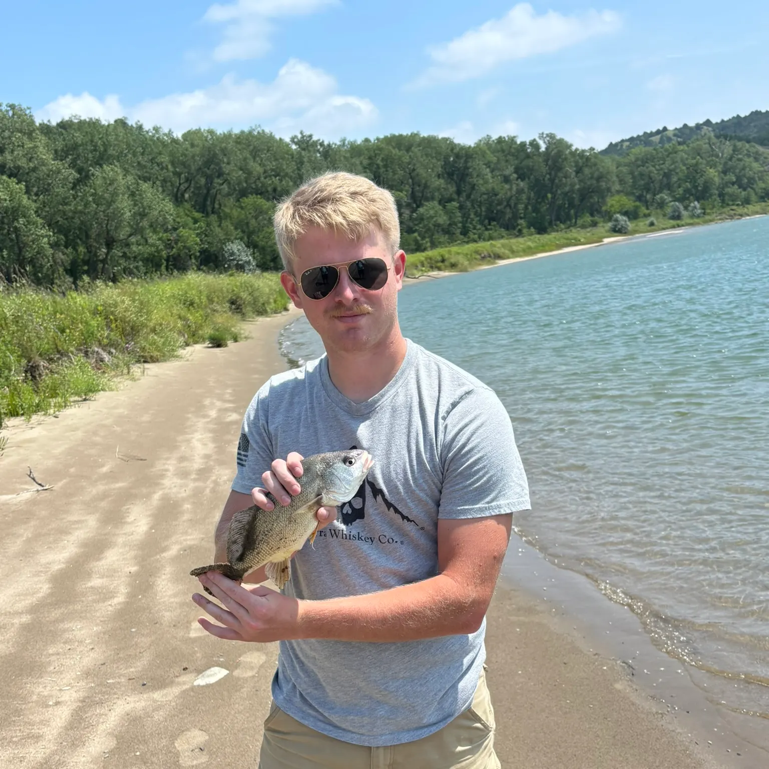 The most recent Freshwater drum catches on Fishbrain