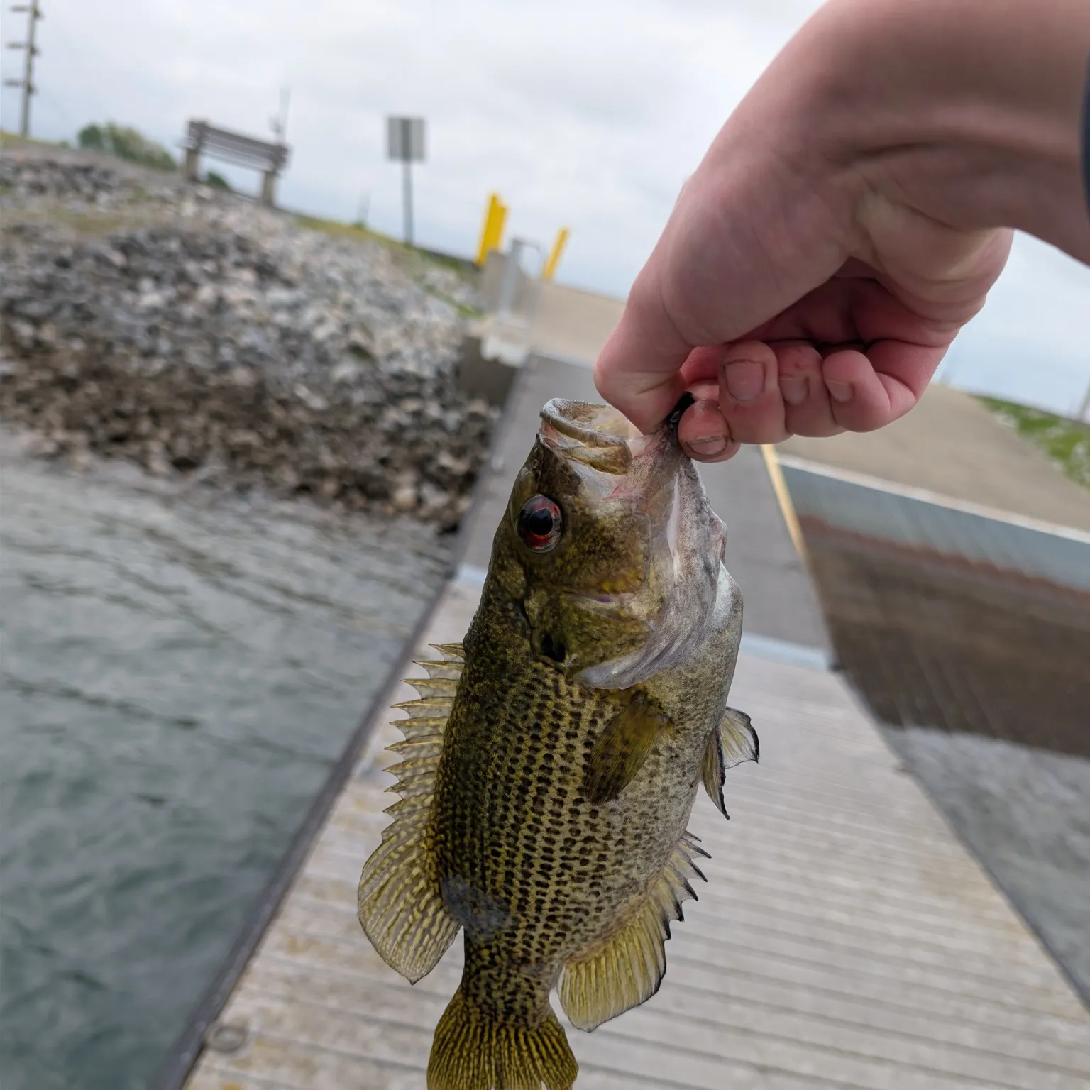 catch