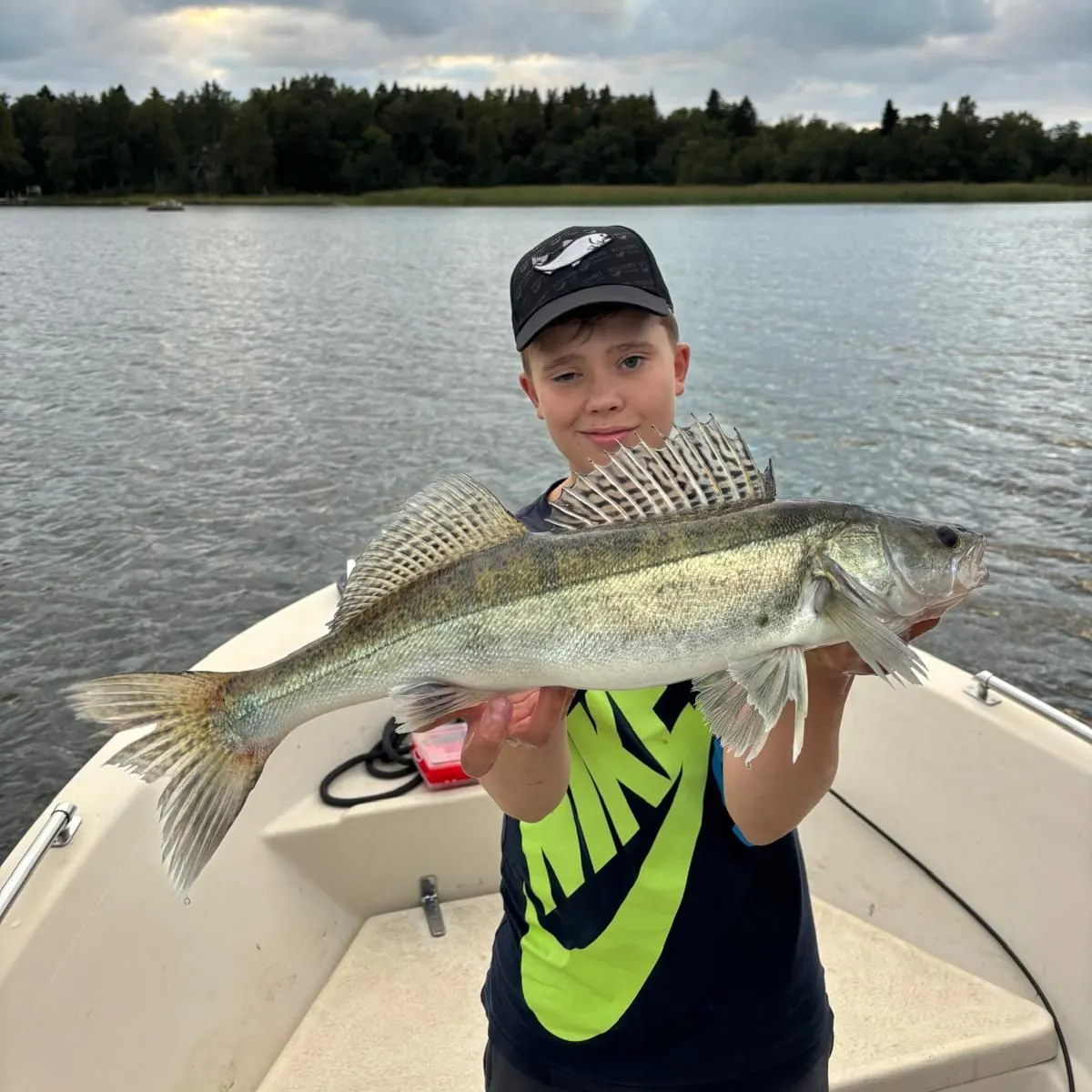 Zander caught on Fishbrain