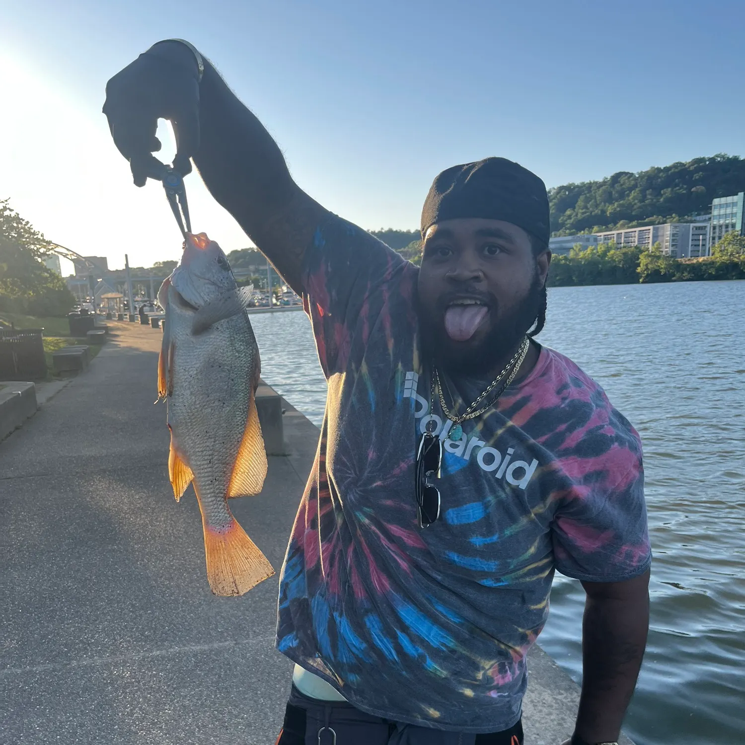 catch