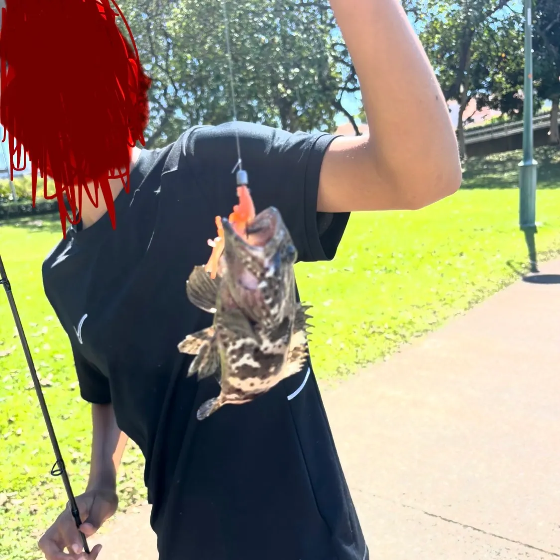 Orange-spotted grouper caught on Fishbrain