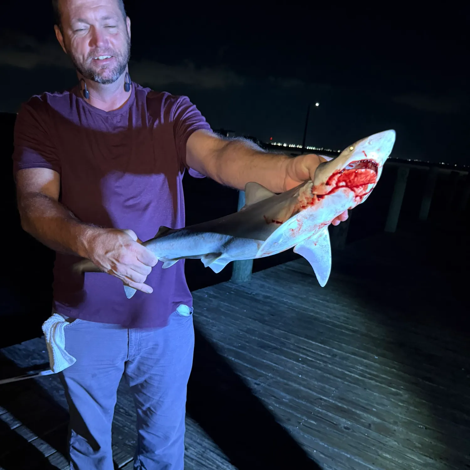 Sandbar shark caught on Fishbrain