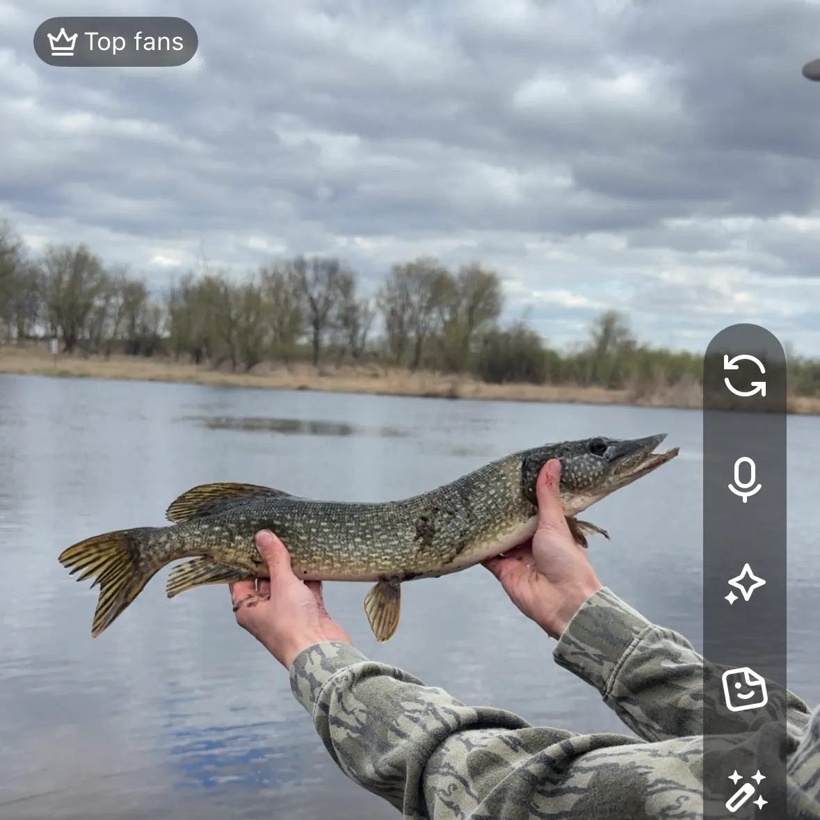 The most recent Northern pike catches on Fishbrain