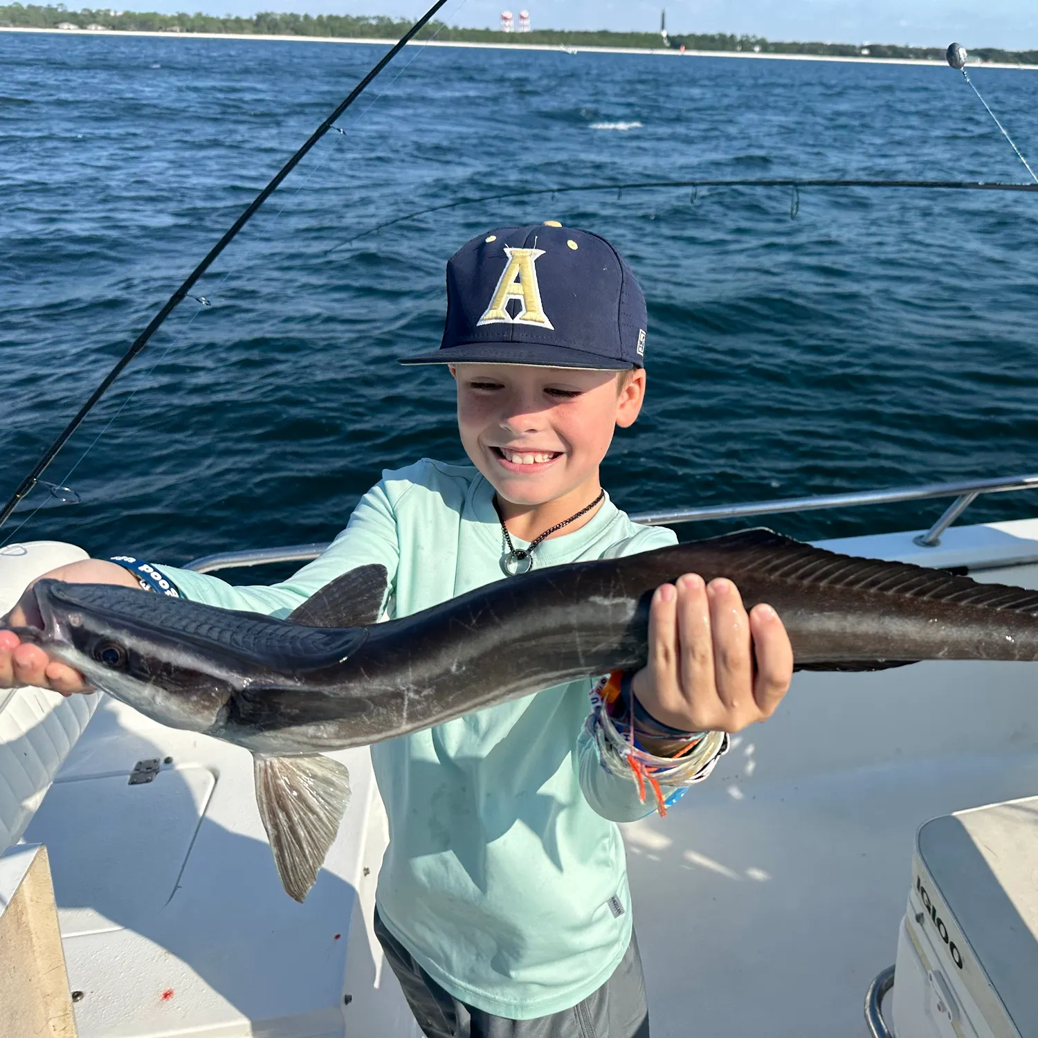 The most recent Live sharksucker catches on Fishbrain