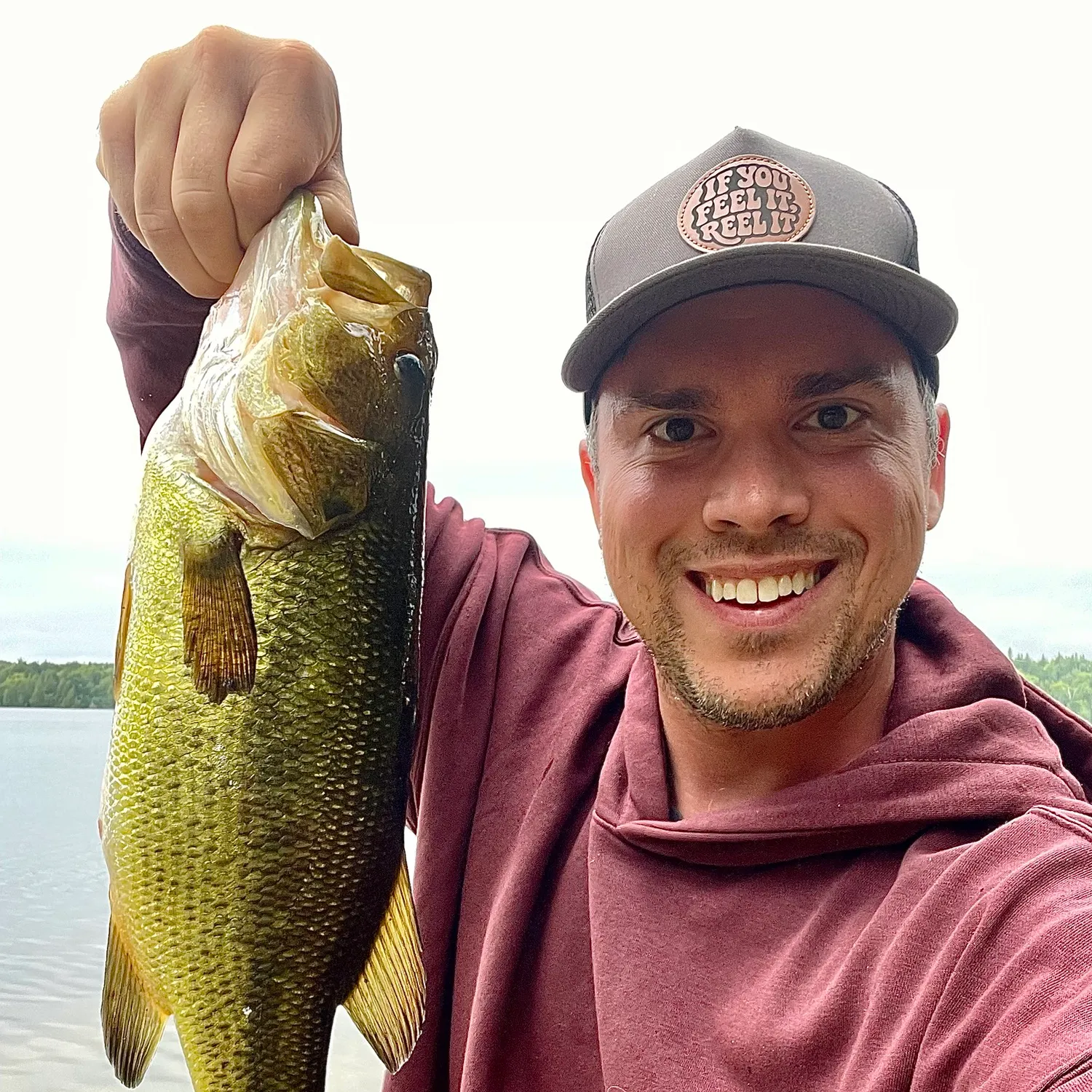 Largemouth bass caught on Fishbrain