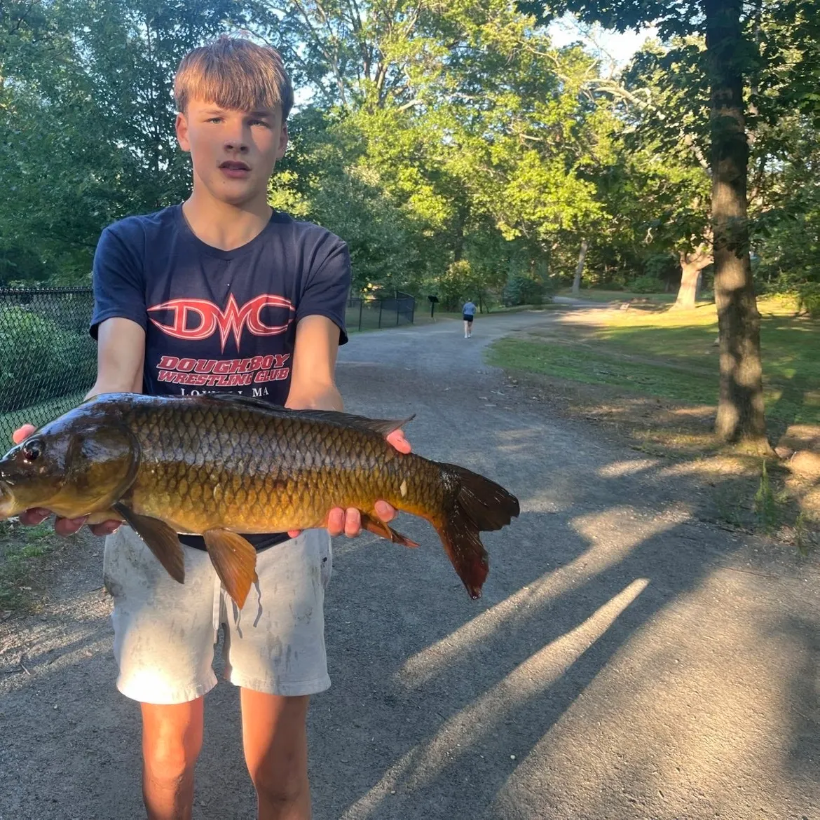 Common carp caught on Fishbrain