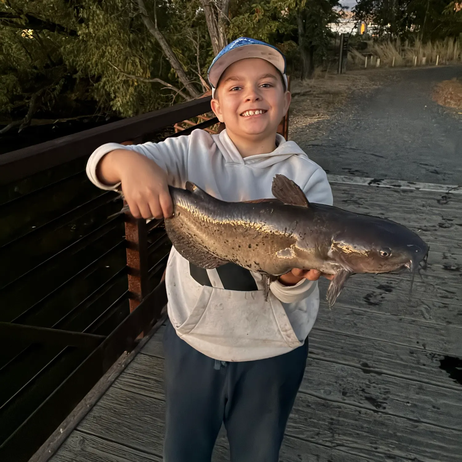 Channel catfish caught on Fishbrain