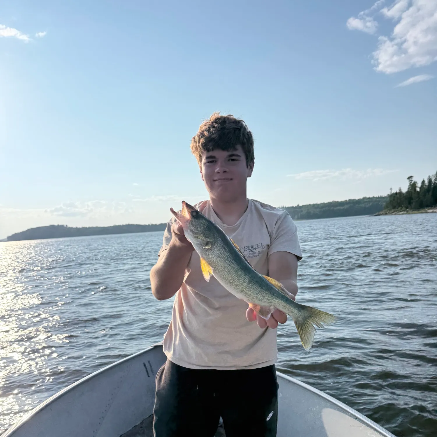 Walleye caught on Fishbrain