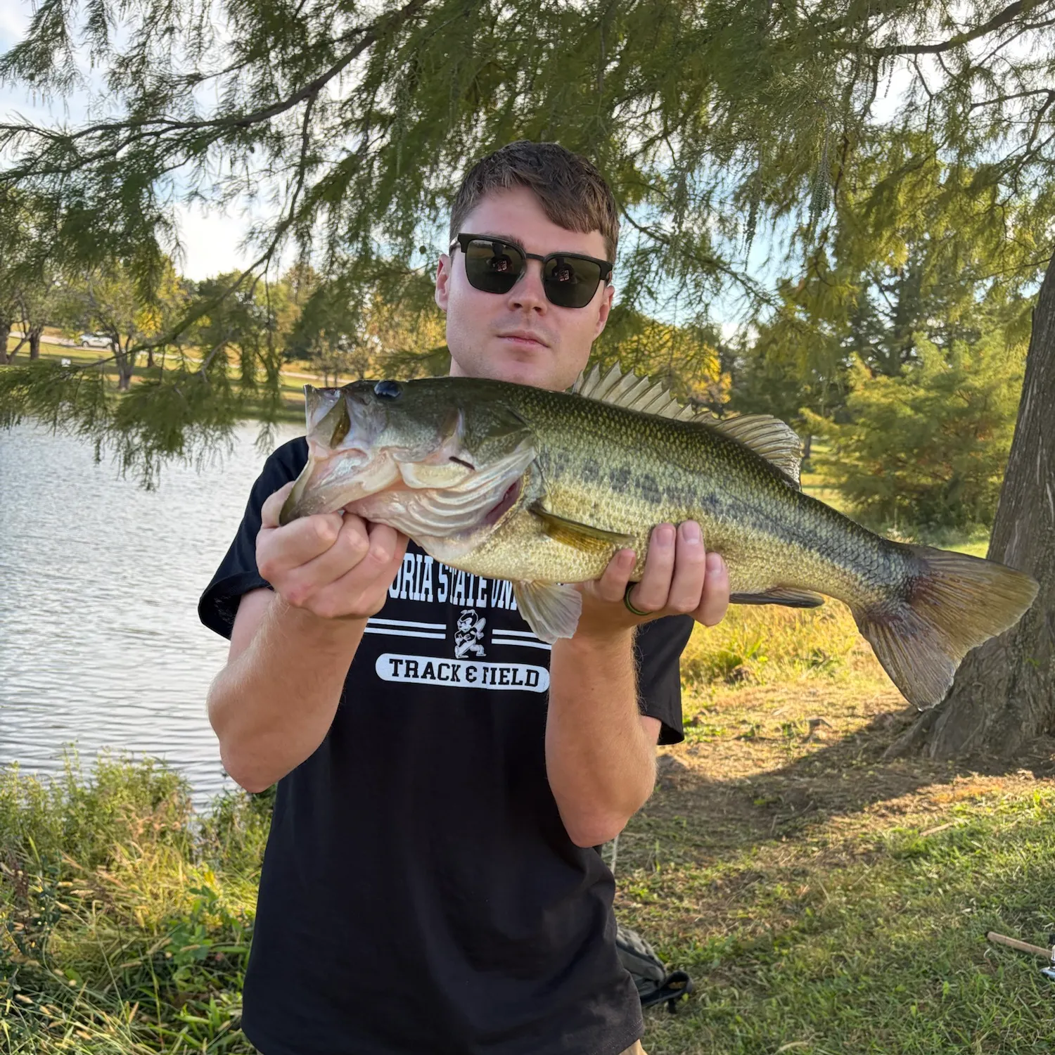 Largemouth bass caught on Fishbrain
