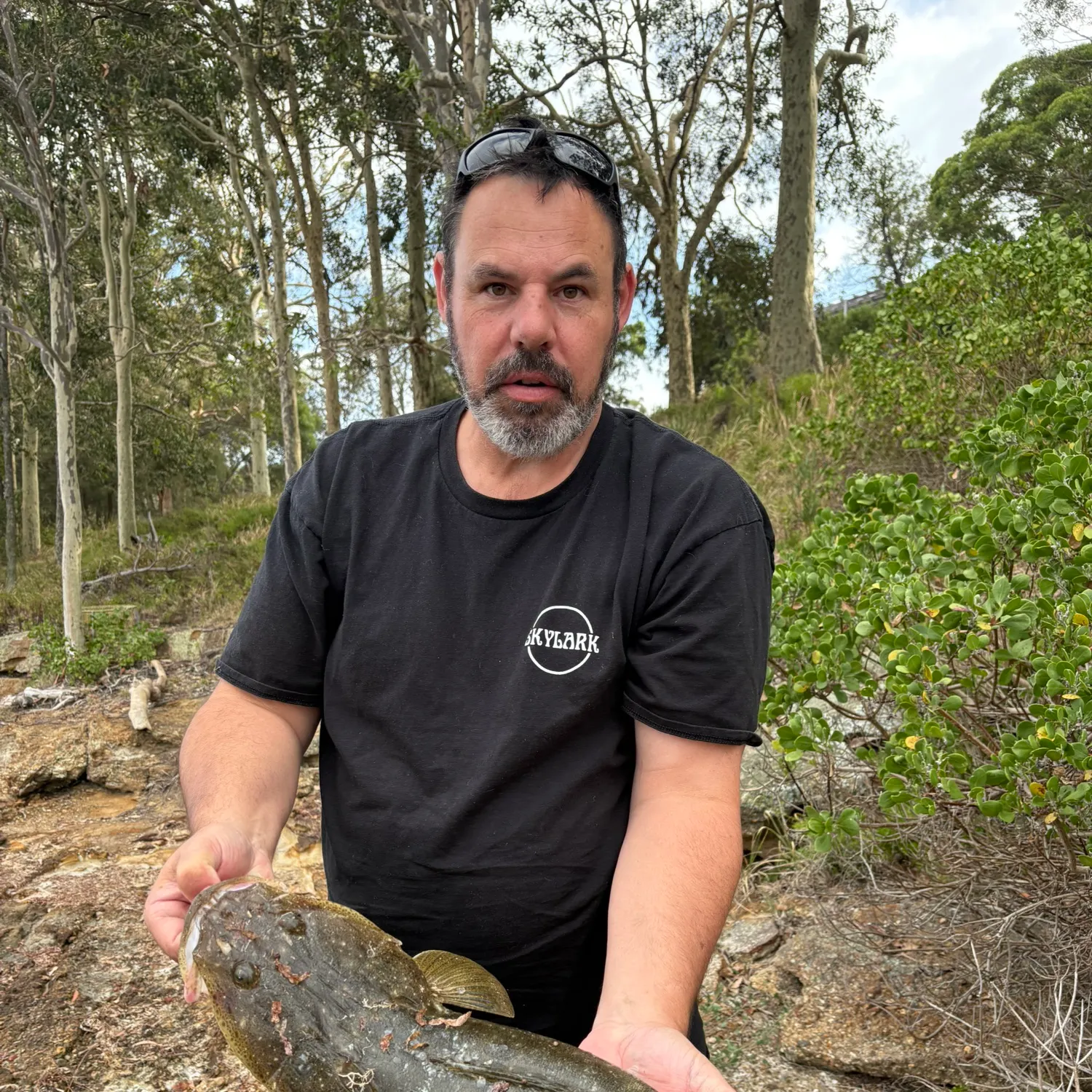 The most recent Dusky flathead catches on Fishbrain
