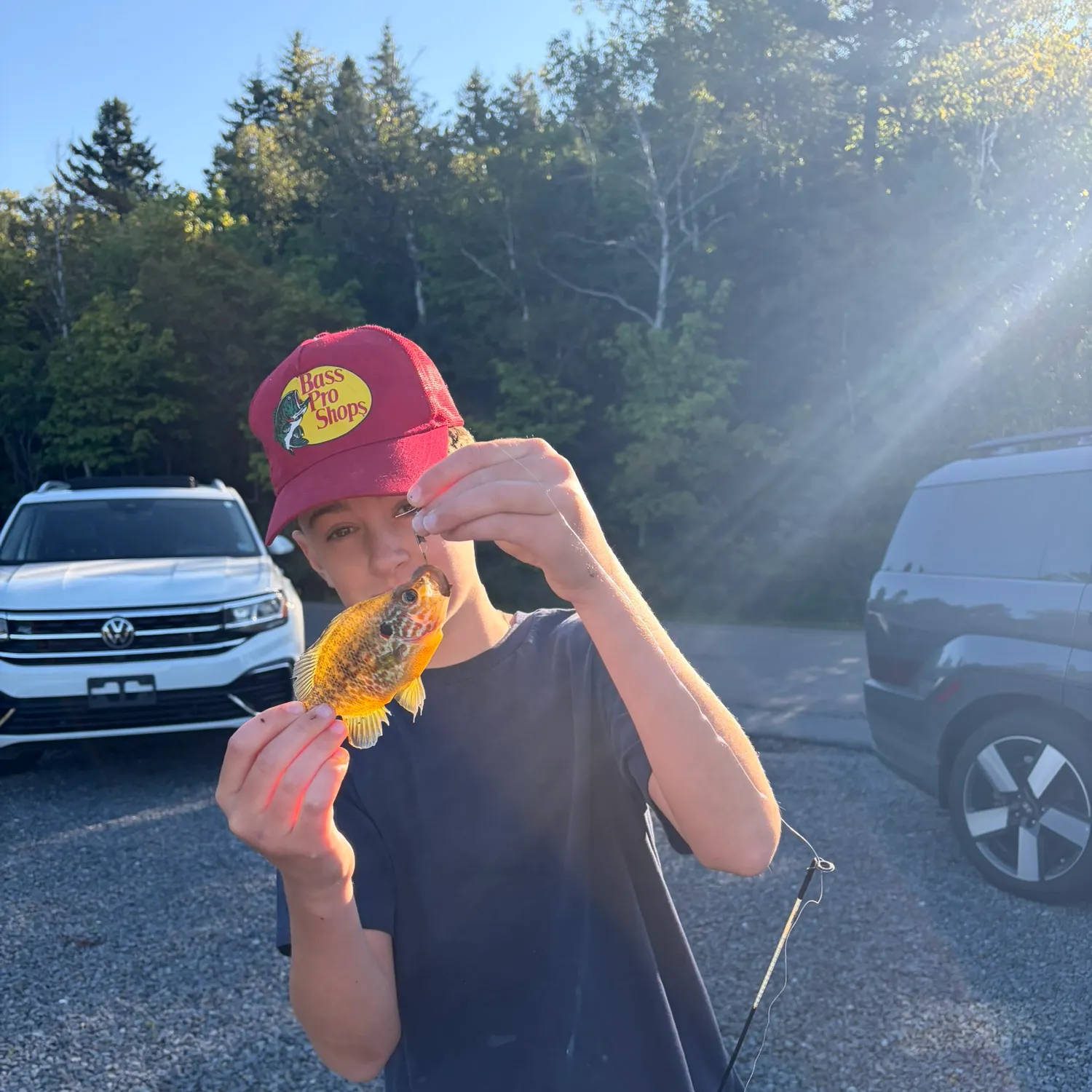 Pumpkinseed caught on Fishbrain