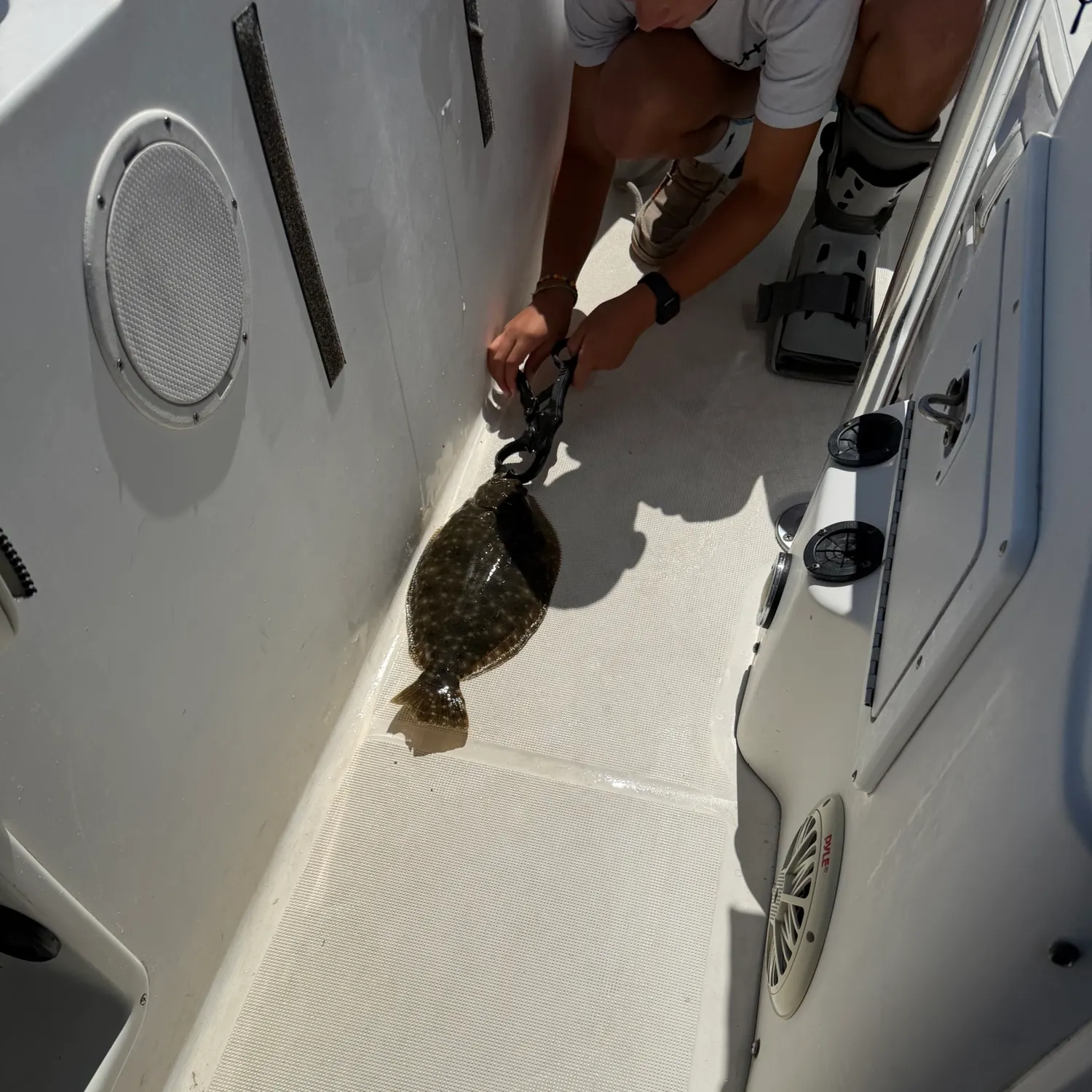 Fish caught on Fishbrain
