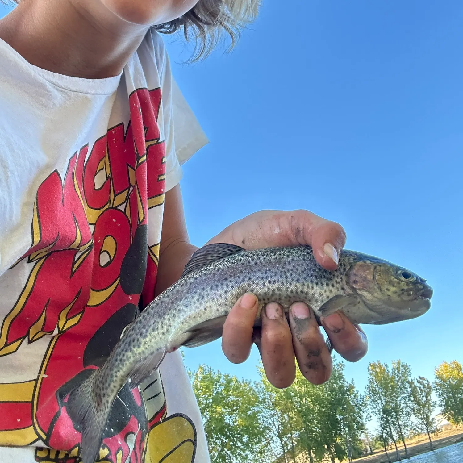 Rainbow trout caught on Fishbrain