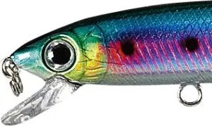 Conrad Minnow