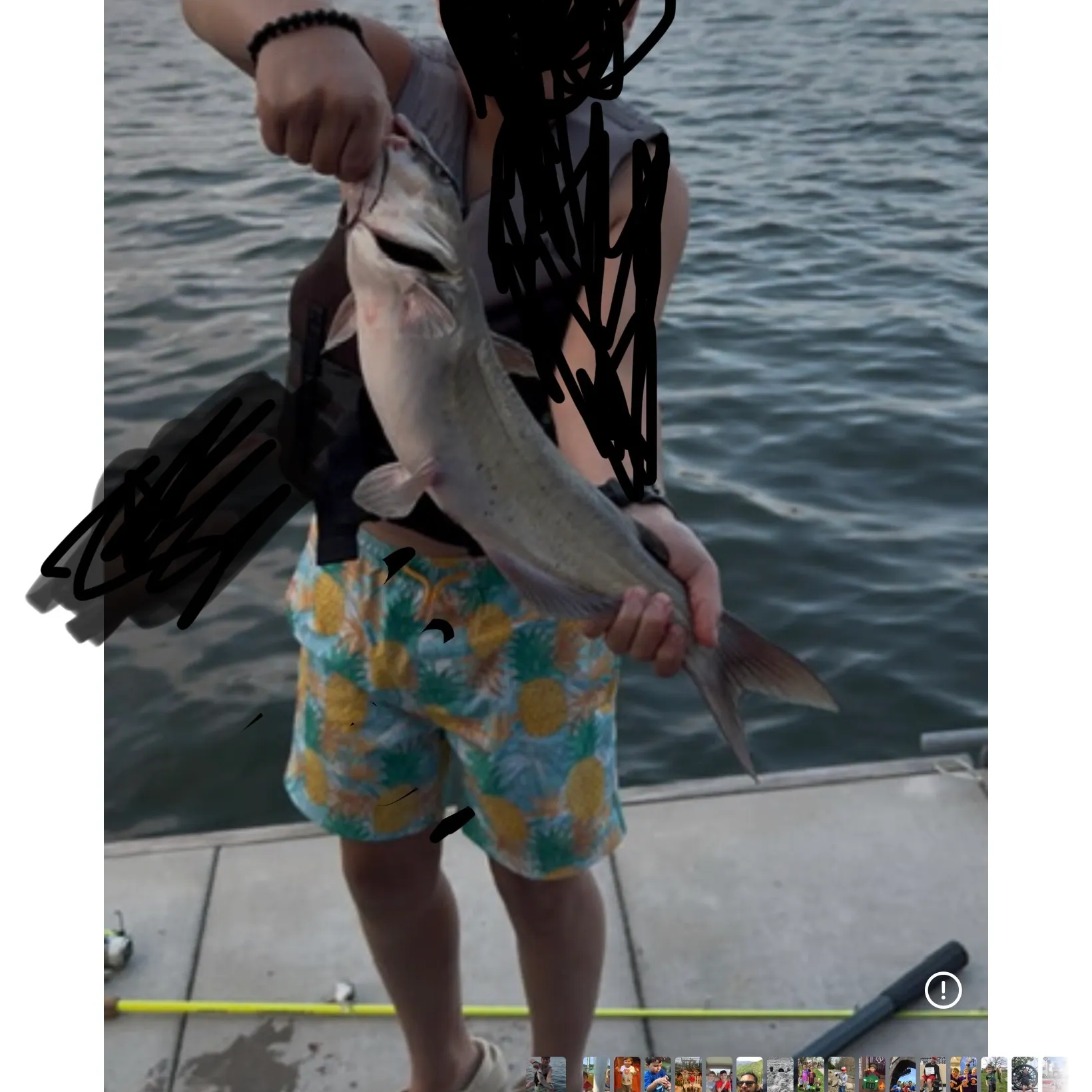 recently logged catches