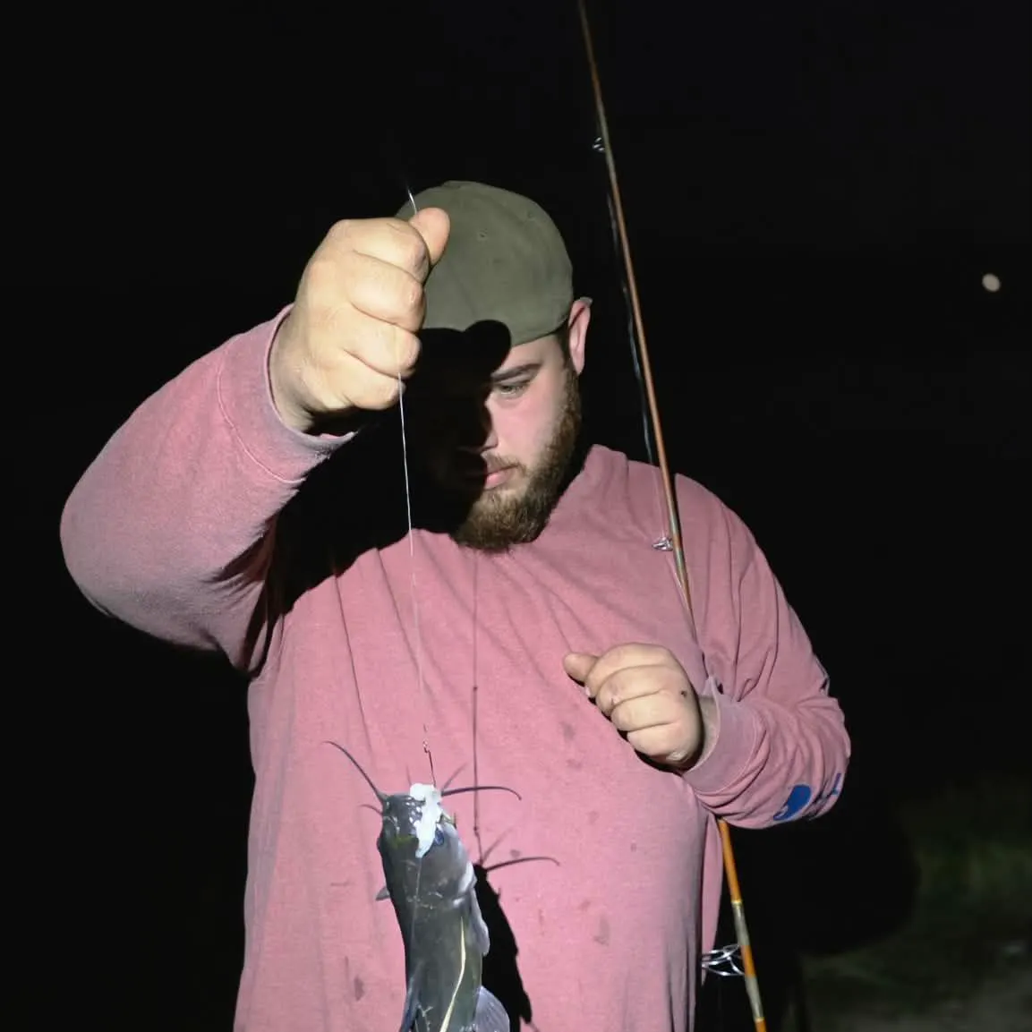 Gafftopsail sea catfish caught on Fishbrain