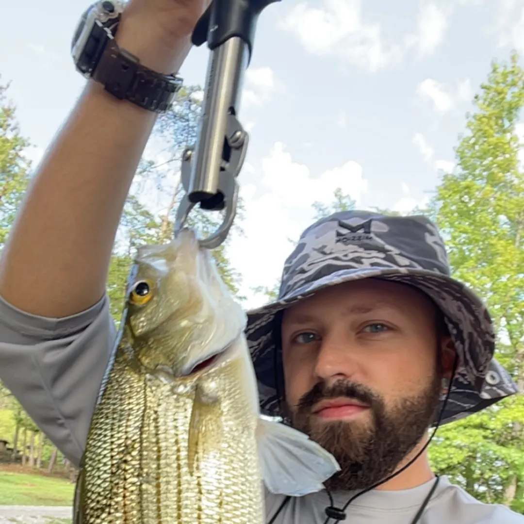 Wiper caught on Fishbrain