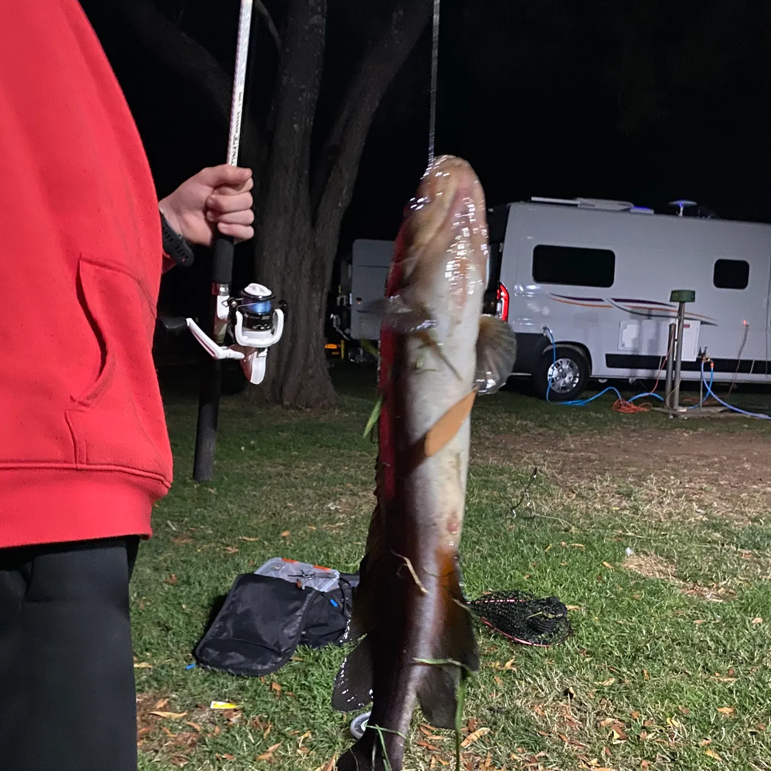 The most recent River blackfish catches on Fishbrain