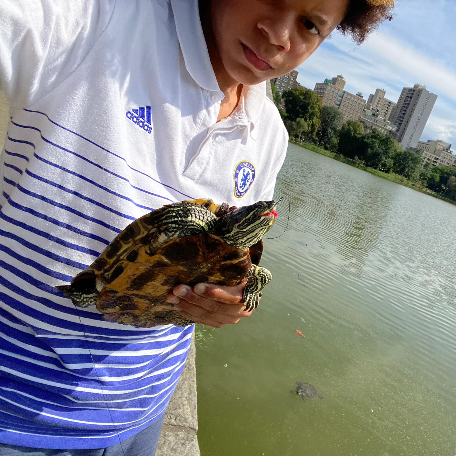 The most recent Pond slider turtle catches on Fishbrain