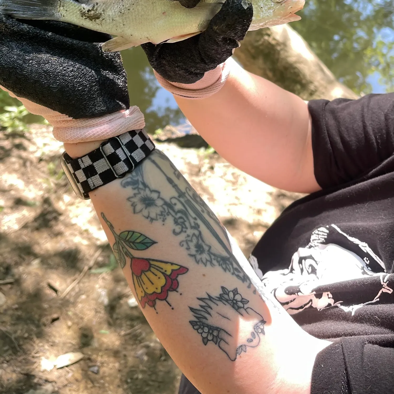 catch