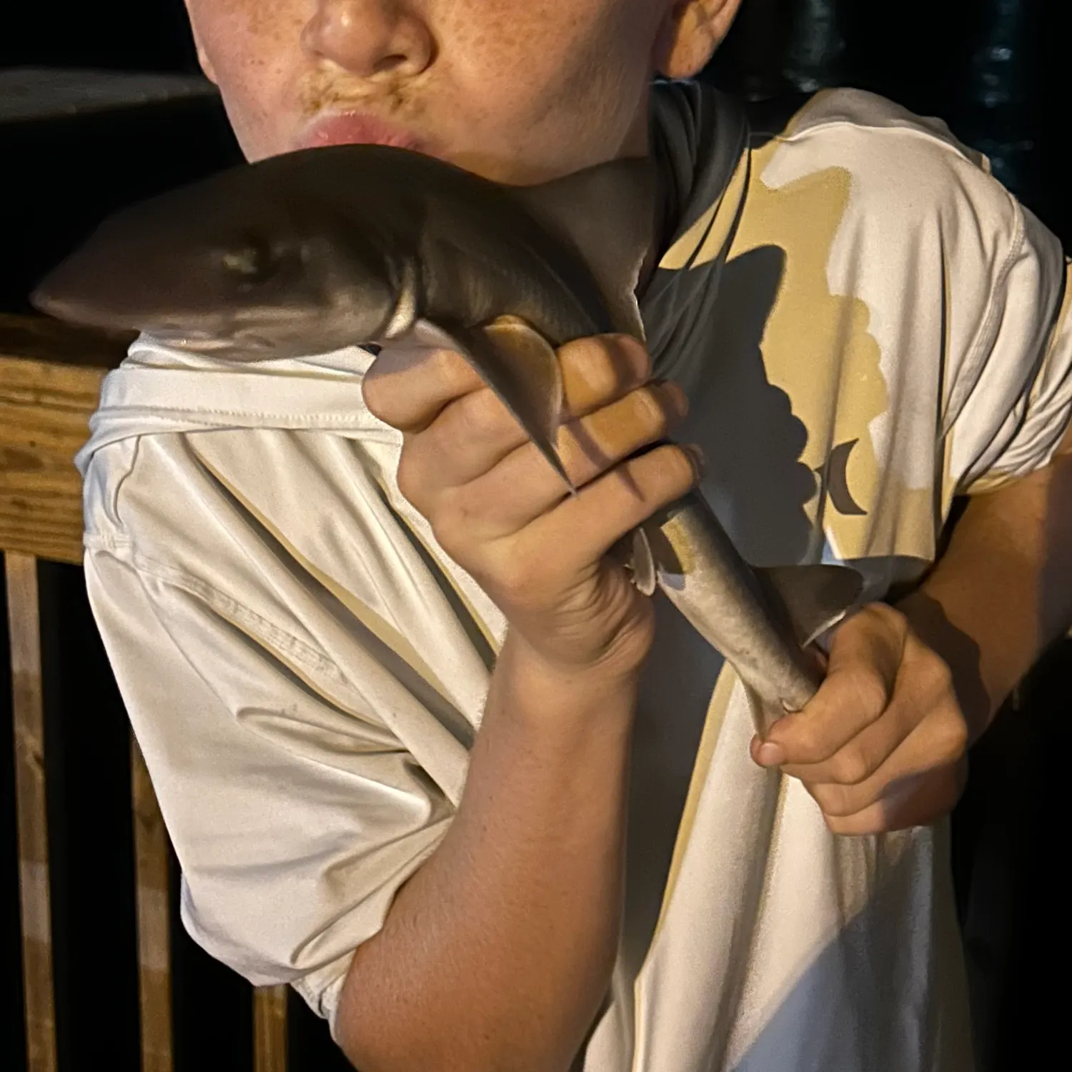 Dusky smooth-hound caught on Fishbrain