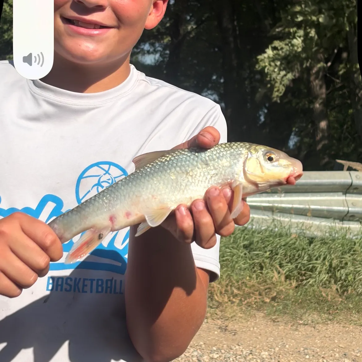 The most recent Gray redhorse catches on Fishbrain