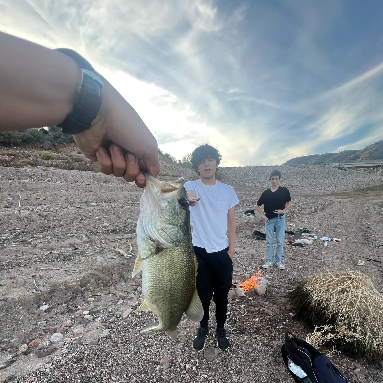 catch