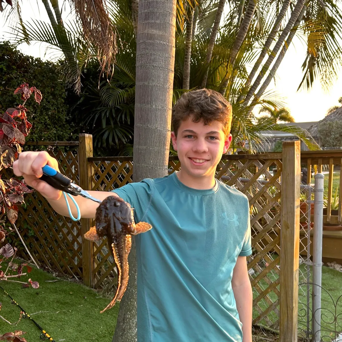 The most recent Gulf toadfish catches on Fishbrain